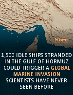 As strife in the Middle East persists with no end in sight, the potential for another battle is festering underwater. Around 1,500 ships have been stalled in the Strait of Hormuz since it was shut down indefinitely in February, 2026, and hundreds more remain stranded in the Persian Gulf. Those stagnant waters are breeding grounds for biofilms and other organisms, and when those ships are eventually released, they could spread invasive species throughout Earth's oceans.
